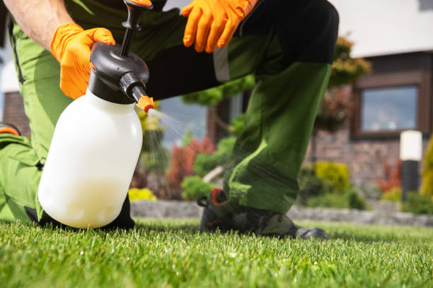 Best Affordable Pest Control Services  in Dade City North, FL