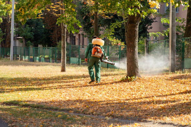 Best Commercial Pest Control Services  in Dade City North, FL