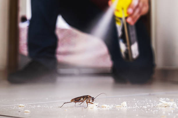 Trusted Dade City North, FL Pest Control Experts