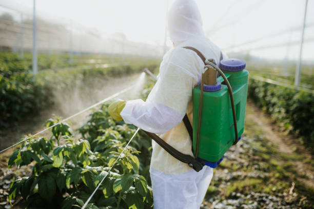 Best Local Pest Control Services  in Dade City North, FL